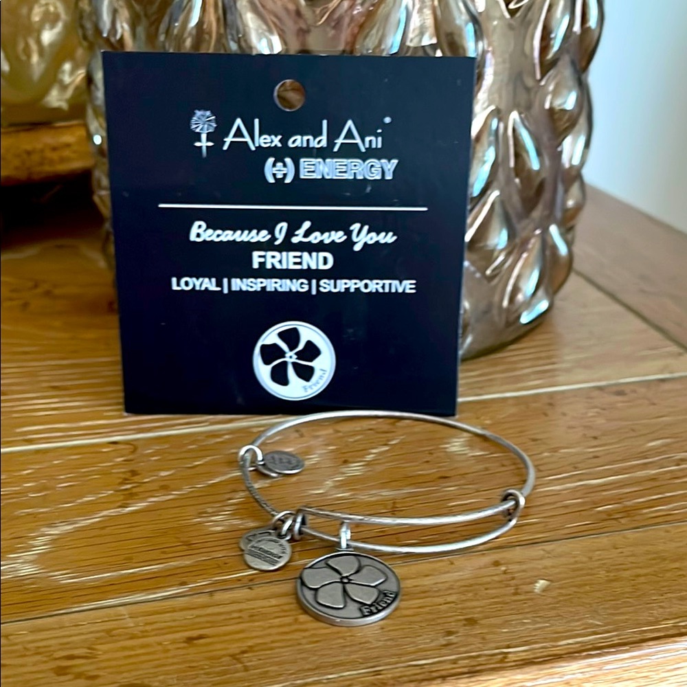Alex and Ani Silver Charm Bracelet